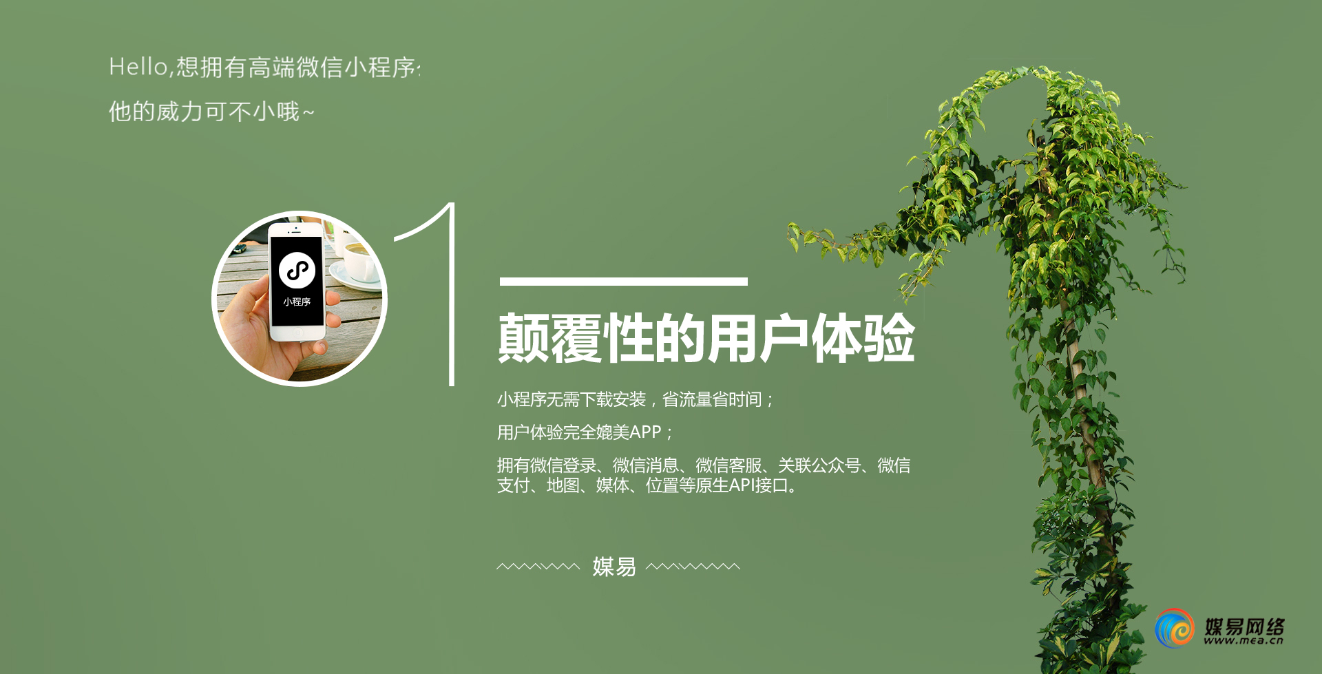 微信小程序入口大盤(pán)點(diǎn)